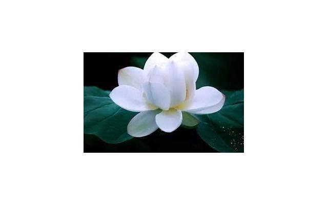 6招穿内衣让胸型更完美 9层左右的女人都不知道