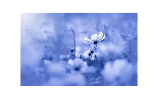 三种女人不适合戴玉 女生带玉坠有什么讲究 三种女人不适合戴玉 女生带玉坠有什么讲究