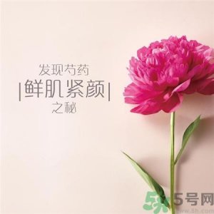 ​梦妆芍药系列适合人群 梦妆芍药系列适合年龄