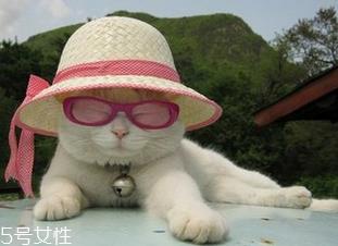 春天要不要涂防晒霜 春天防晒注意事项 春天要不要涂防晒霜 春天防晒注意事项