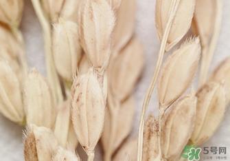 韩律适合什么肤质?韩律适合敏感肌肤吗? 韩律适合什么肤质?韩律适合敏感肌肤吗?