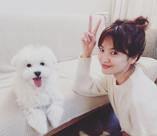 女生中长发丸子头扎法图解 2分钟扎法