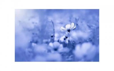 ​天蝎男一眼就喜欢的女人 天蝎座男生喜欢什么样的女生