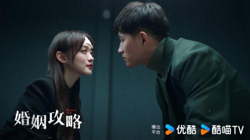 婚姻攻略剧情介绍,婚姻攻略剧情简介