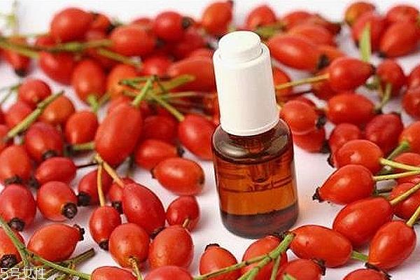 痘痘能用玫瑰果油吗?愈合之后少量用 痘痘能用玫瑰果油吗?愈合之后少量用