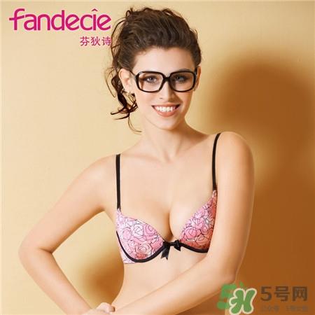 芬狄诗内衣一般多少钱?芬狄诗内衣怎么样? 芬狄诗内衣一般多少钱?芬狄诗内衣怎么样?