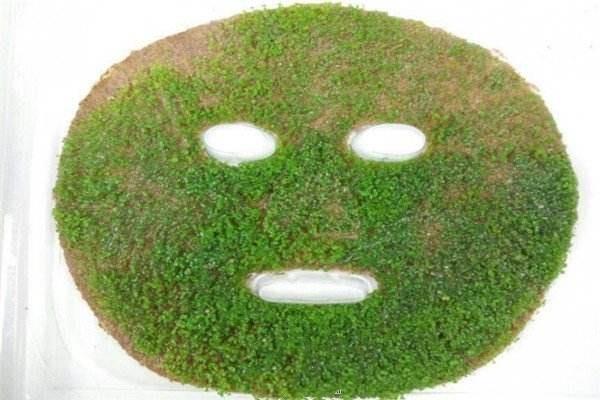 海藻面膜发芽的好还是不发芽的好 海藻面膜怎么判断真假 海藻面膜发芽的好还是不发芽的好 海藻面膜怎么判断真假