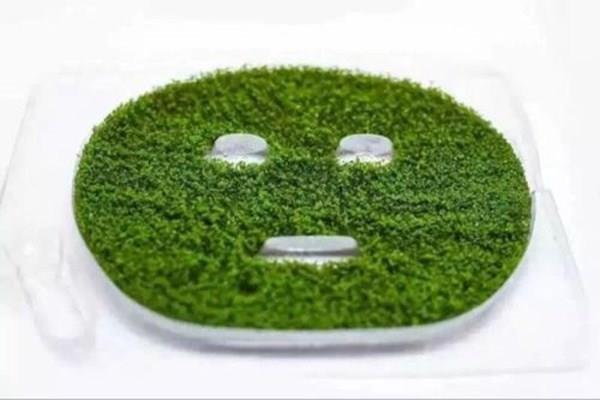 海藻面膜发芽的好还是不发芽的好 海藻面膜怎么判断真假 海藻面膜发芽的好还是不发芽的好 海藻面膜怎么判断真假