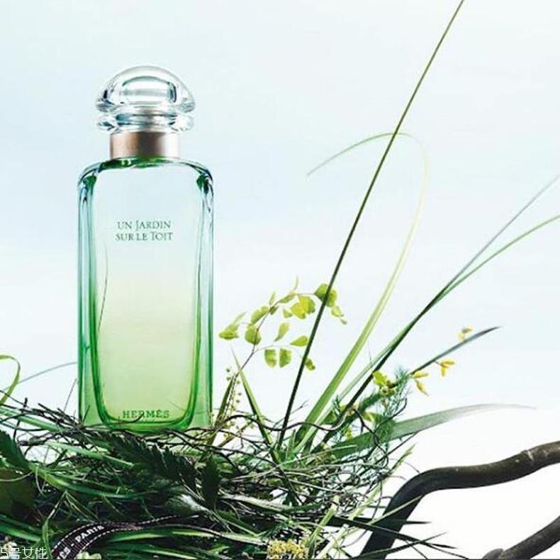 爱马仕屋顶花园香水香评 治愈你的小清新 爱马仕屋顶花园香水香评 治愈你的小清新