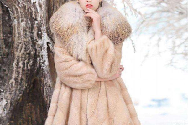 皮草分为哪几个种类 皮草介绍 皮草分为哪几个种类 皮草介绍