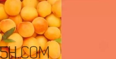 奶油杏是什么颜色?奶油杏色口红试色 奶油杏是什么颜色?奶油杏色口红试色