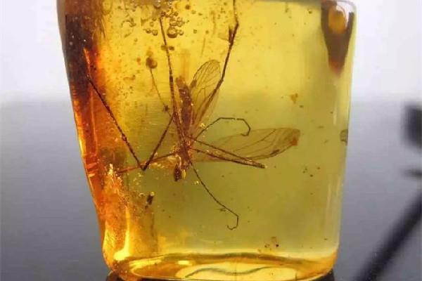 琥珀是透明的好还是不透明的好 琥珀的等级如何划分 琥珀是透明的好还是不透明的好 琥珀的等级如何划分