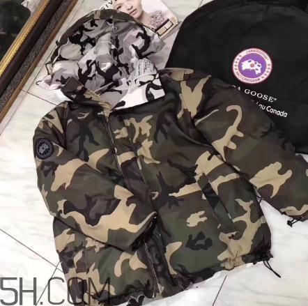 加拿大鹅羽绒服怎么洗？加拿大鹅羽绒服可以水洗吗？