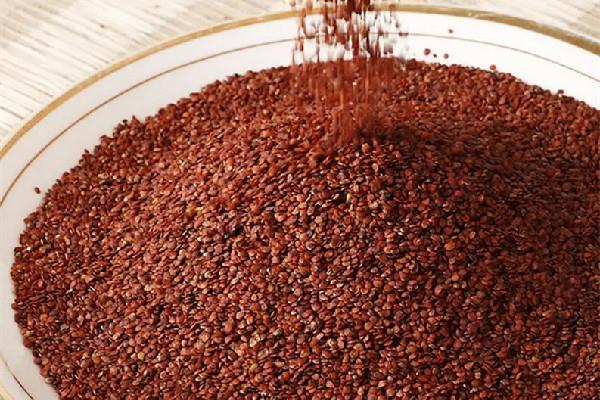 海藻面膜用冷水还是热水 海藻面膜用牛奶调好还是用水