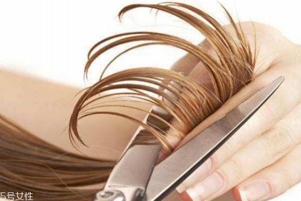 经常剪头发有什么好处 长时间不剪头发有什么危害 经常剪头发有什么好处 长时间不剪头发有什么危害