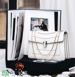 宝格丽蛇头包有哪几种尺寸?宝格丽蛇头包尺寸介绍 宝格丽蛇头包有哪几种尺寸?宝格丽蛇头包尺寸介绍