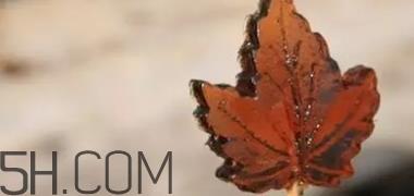 枫糖色口红是什么颜色?枫糖色口红试色 枫糖色口红是什么颜色?枫糖色口红试色