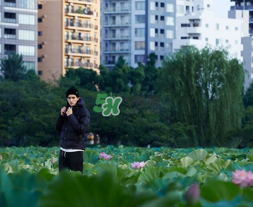 citera2017秋冬系列怎么样_好看吗_款式有哪些? citera2017秋冬系列怎么样_好看吗_款式有哪些?