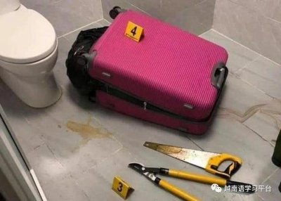 ​近日越南胡志明“行李箱”藏尸案已侦破
