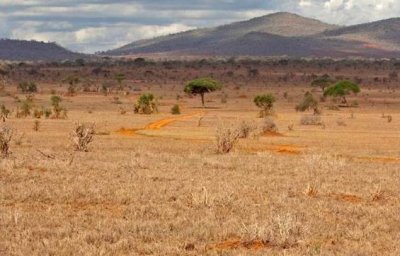 ​加蓬-非洲最富有的国度之一