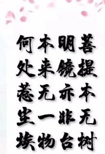 ​《菩提本无树，明镜亦非台，本来无一物，何处惹尘埃》此偈由来