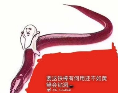 ​皮皮鳝咱们走~