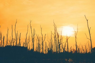 ​不知不觉，我们都老了！（心酸）