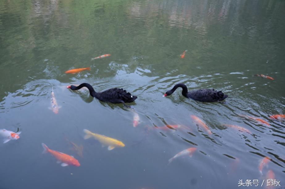 东莞水濂山风景赏析