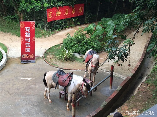 东莞水濂山风景赏析