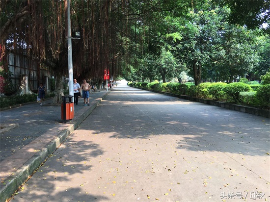 东莞水濂山风景赏析