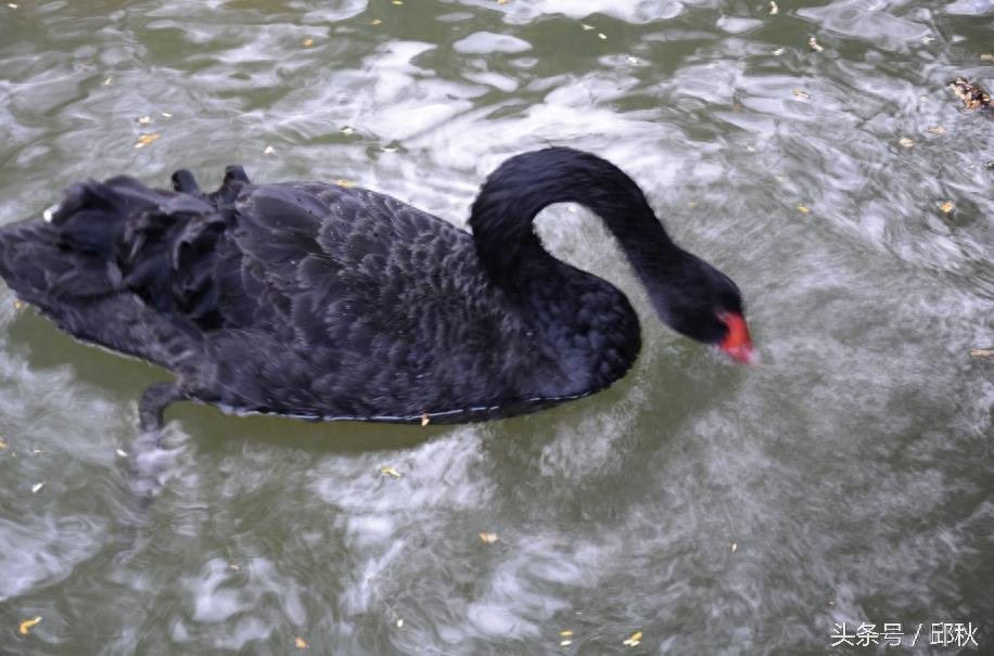 东莞水濂山风景赏析