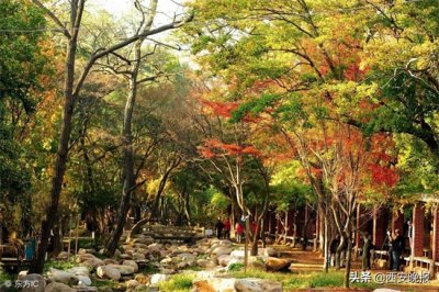 ​大华公园、航天大道公园、杜陵遗址绿地公园……曲江新区又添公园