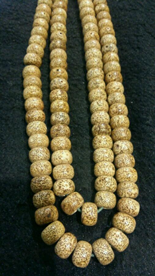 父母收藏了50年的星月菩提,给朋友们开开眼