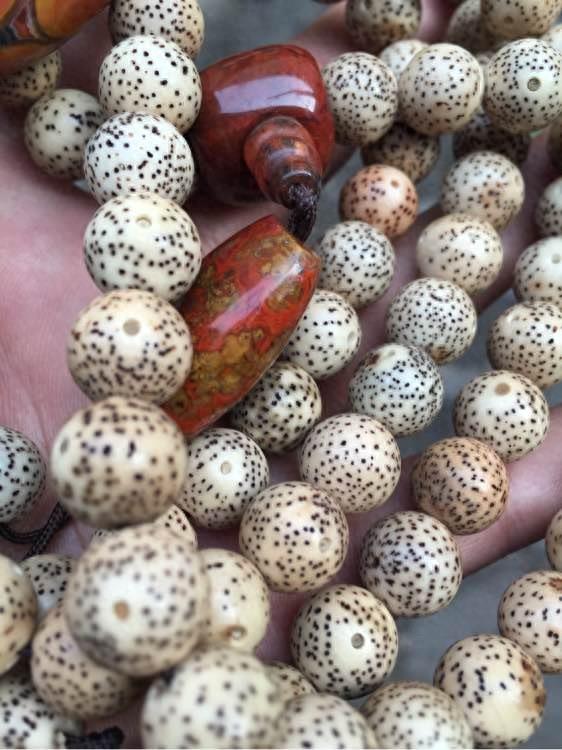 父母收藏了50年的星月菩提,给朋友们开开眼