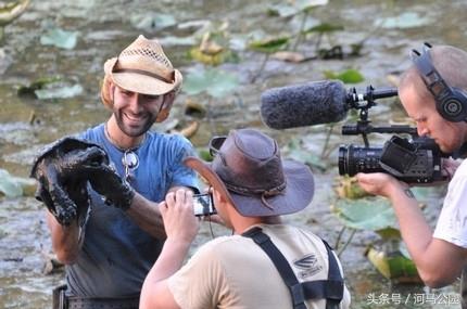 霸气外露的野生鳄龟欣赏