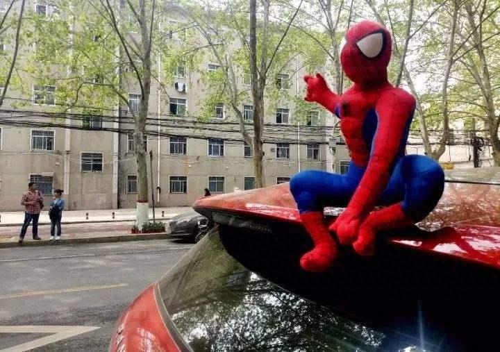 车顶摆放玩偶——违法!