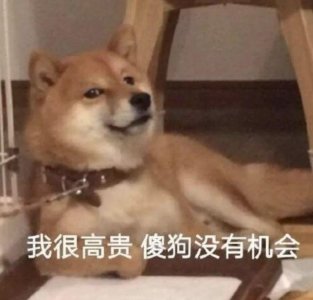 ​调戏女朋友的表情包