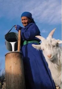 ​蒙古族的饮食习俗