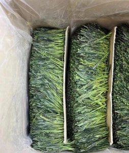 ​中国名茶 之 安徽茶