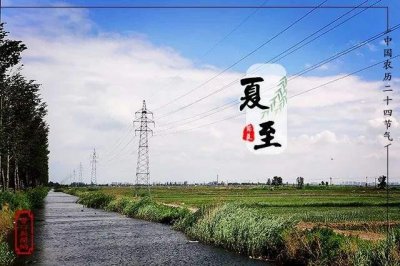 ​牛虻是一种什么样的昆虫，了解一下