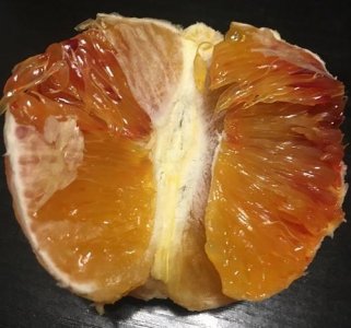 ​血橙没有血，我是不是买到了假血橙？