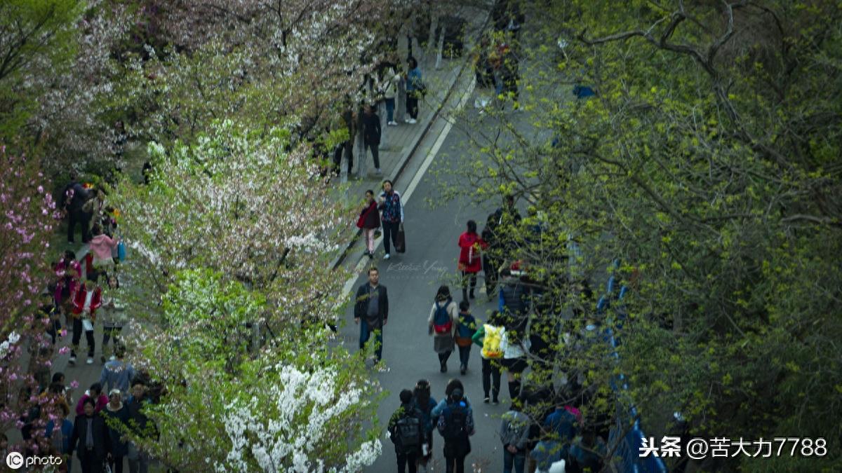 探访网红打卡地:南京鸡鸣古寺,年轻人多去求姻缘,据说很灵验