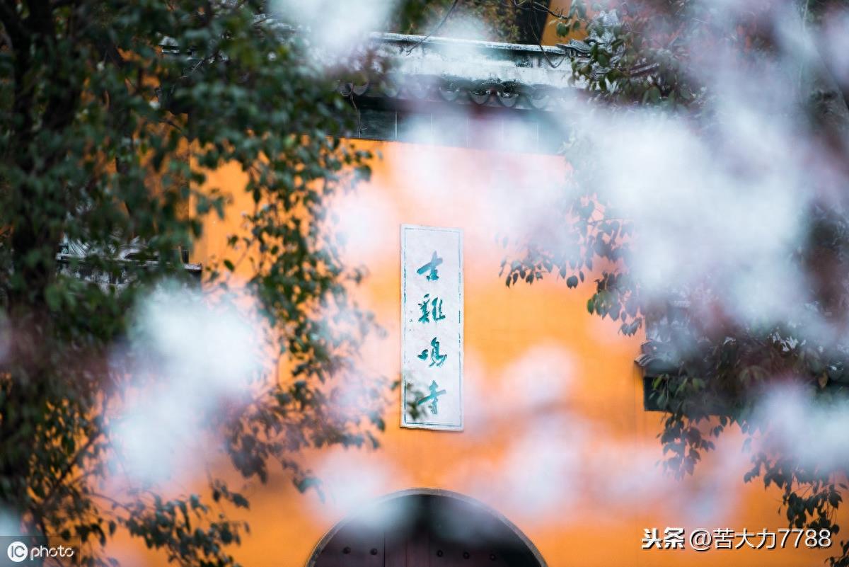 探访网红打卡地:南京鸡鸣古寺,年轻人多去求姻缘,据说很灵验