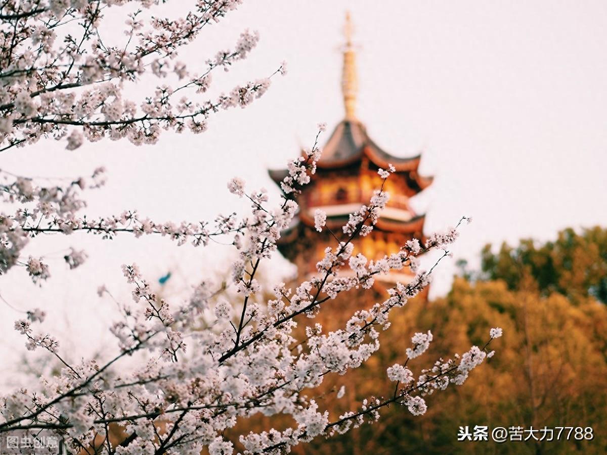 探访网红打卡地:南京鸡鸣古寺,年轻人多去求姻缘,据说很灵验