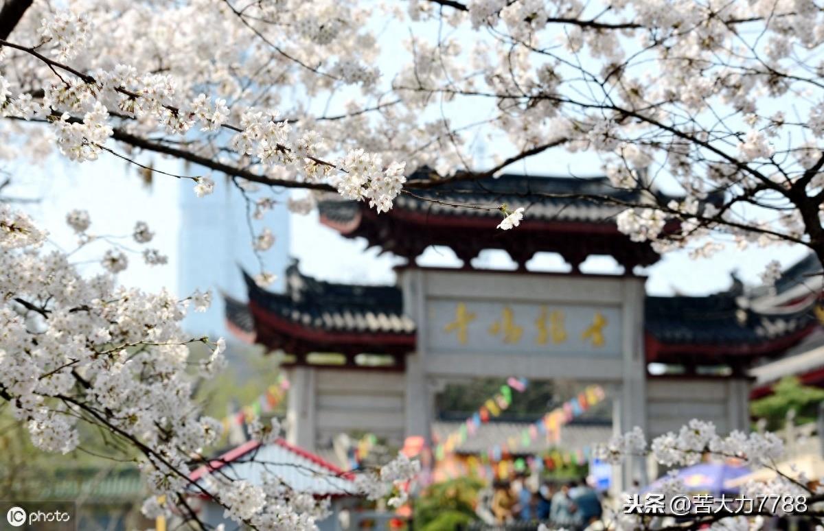 探访网红打卡地:南京鸡鸣古寺,年轻人多去求姻缘,据说很灵验