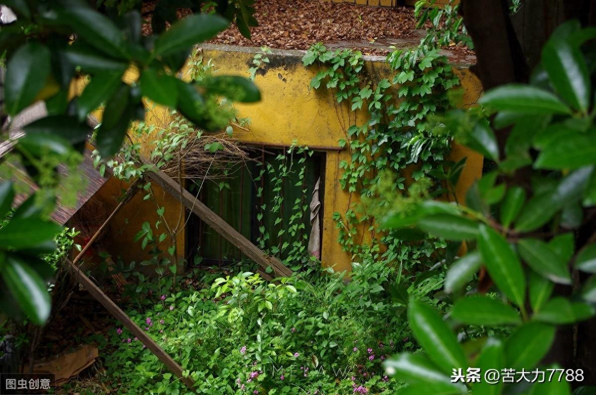 探访网红打卡地:南京鸡鸣古寺,年轻人多去求姻缘,据说很灵验