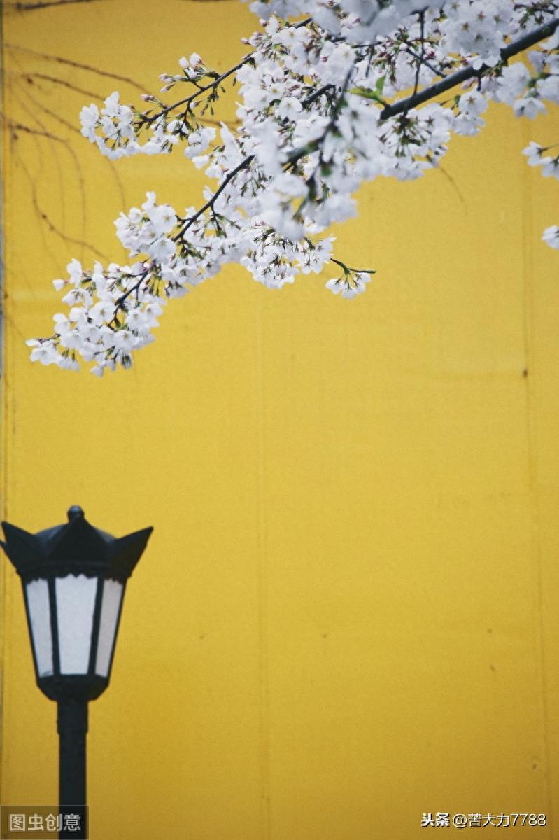 探访网红打卡地:南京鸡鸣古寺,年轻人多去求姻缘,据说很灵验