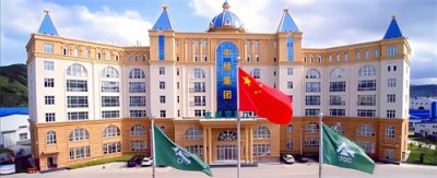 ​央企大揭秘-中国林业集团