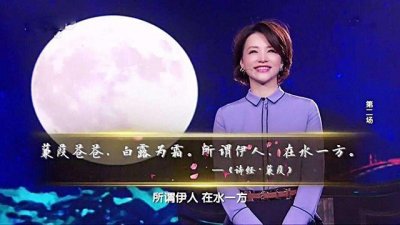 ​北大博士生陈更不敌武亦姝，但她不曾认输，足以称得上是诗词才女