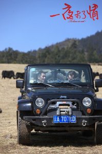 ​令人戳心的三部国产爱情电影